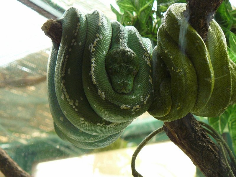 2008 05 Séjour à Martel 85